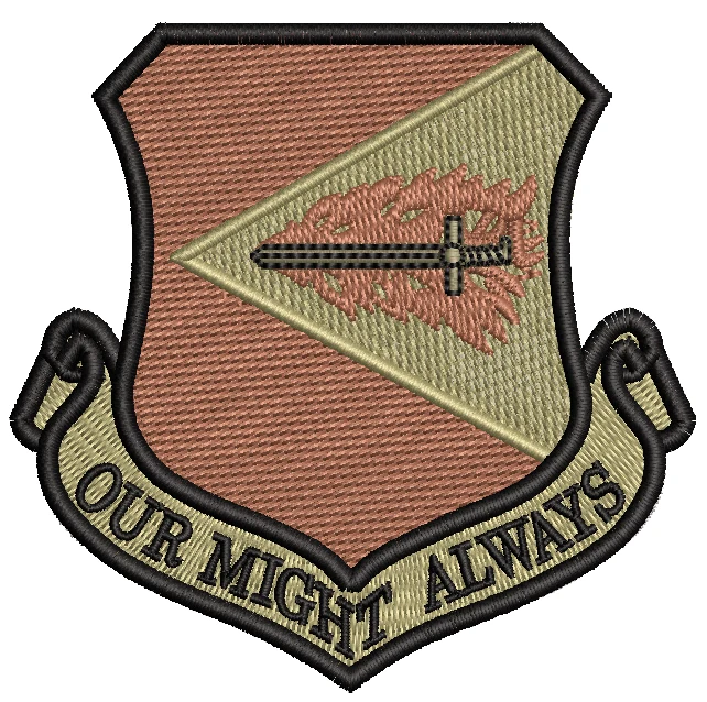 355th Fighter Wing - OCP