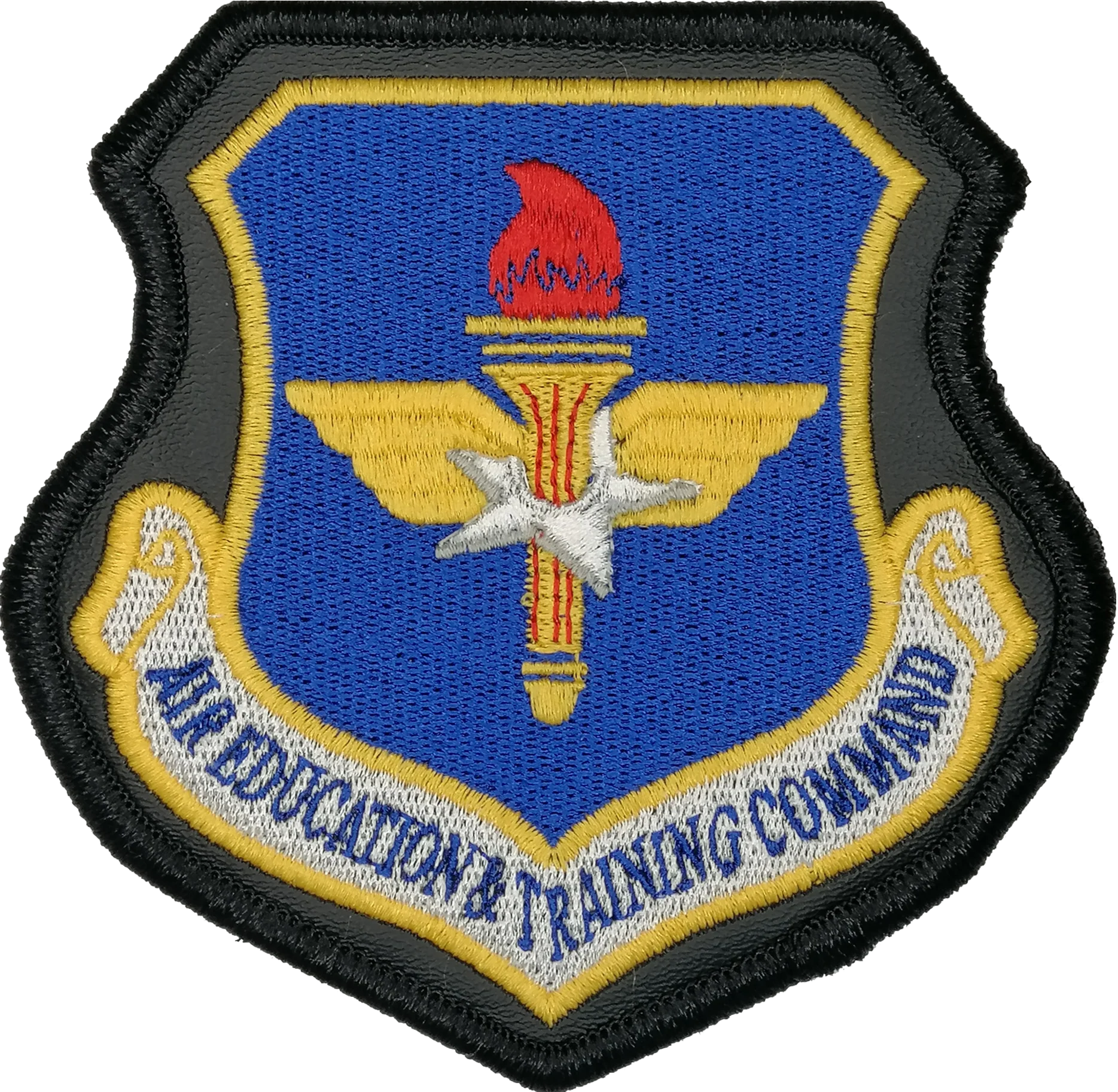 Air Education and Training Command (AETC) - A2 Leather Jacket