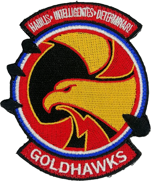 Gold Hawks - COLOR