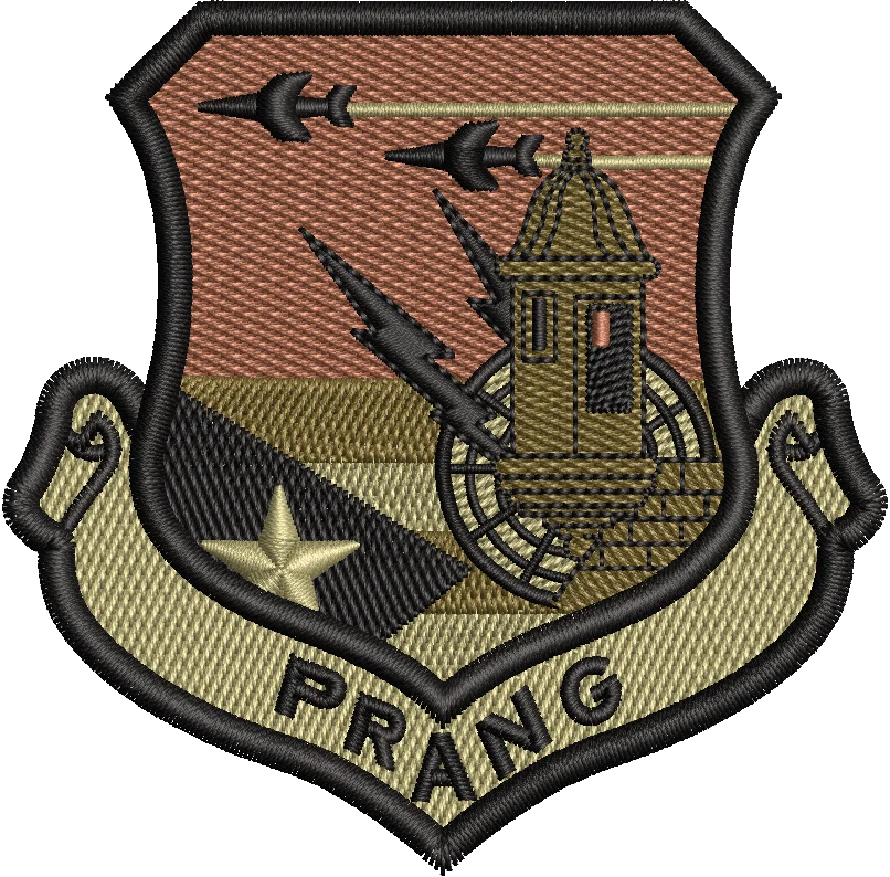 PUERTO RICO AIR NATIONAL GUARD (PRANG) - OCP