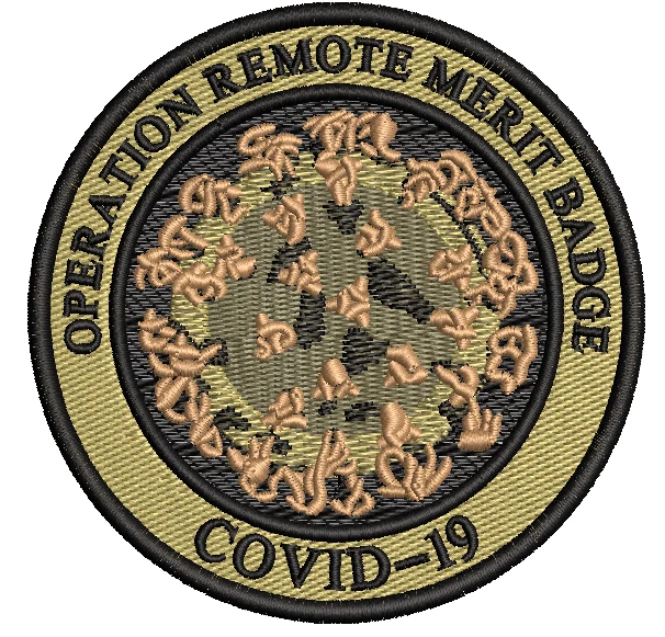 *Scout Patch* - Operation - Image 2